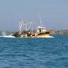 Sortie en mer